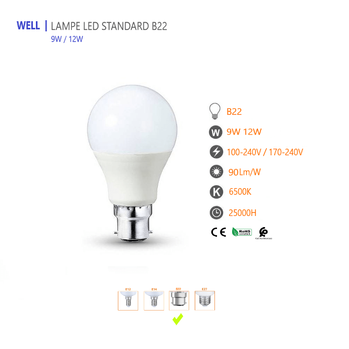 LAMPE STANDARD 9W-15W B22 LED  6500K WELL