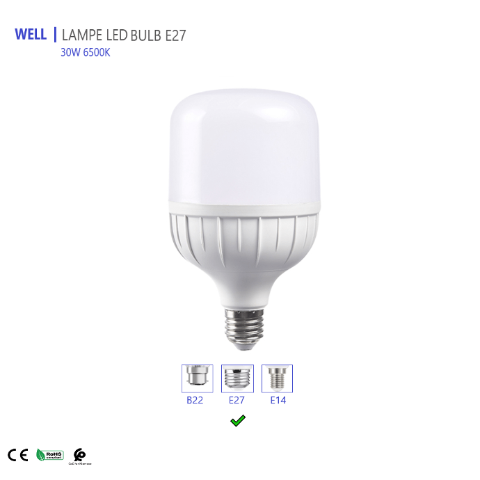  LAMPE LED WELL BULB T115 30W E27 6500K