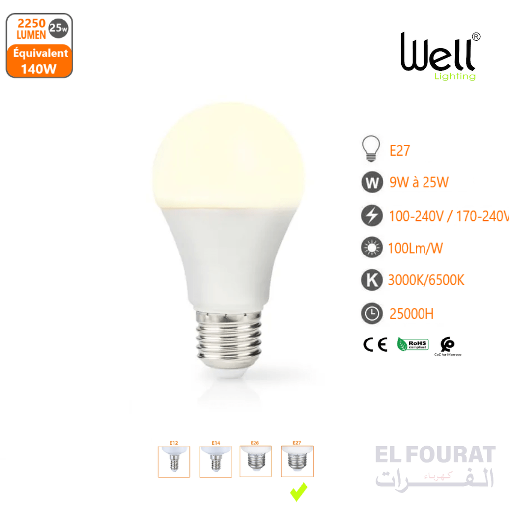 LAMPE LED WELL E27 9W À 25W 3000K/6500K DÉPOLIE