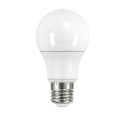 [104716] LAMPE LED CLASSIC WELL E27 12W 6500K 